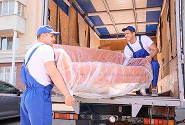 packing shifting services